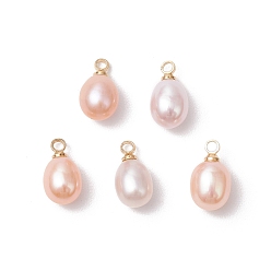 (52) Непрозрачная лаванда Натуральные культивированные пресноводные жемчужные рисовые подвески, с латунной поручительств, золотые, разноцветные, 12x6.5 мм, отверстие : 1.8 мм