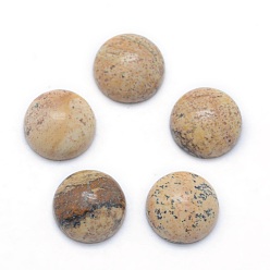 Picture Jasper Natural Picture Jasper Cabochons, Grade A, Half Round, 6x3~3.5mm