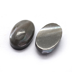 Noir Cabochons coquille, ovale, teint, noir, 6x4x2mm