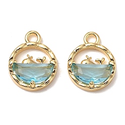 Темно-Голубой Латунные микро проложить кубического циркония прелести, без кадмия, без никеля и без свинца, плоские круглые с дельфином, реальный 18 k позолоченный, глубокое синее небо, 12.5x9.5x3 мм, отверстие : 1.6 мм