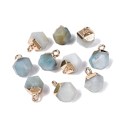 Amazonite Natural Amazonite Pendants, Polygon Charms, with Golden Tone Brass Loops, 11.5~14x7~9.5x7~9.5mm, Hole: 1.6~1.8mm