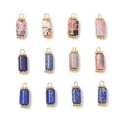 Золотой 12 шт. 2 стили подвески из натурального лазурита и родонита, граненые колонны-подвески, с медными петлями, золотые, золотые, 17~17.5x5.5~7.5x5.5~7.5 мм, отверстие : 2~2.5 мм, 6 шт / стиль