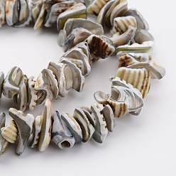 Light Grey Natural Shell Bead Strands, Dyed, Nuggets, Light Grey, 10~20x8~12x3~6mm, Hole: 1mm, about 15.7 inch