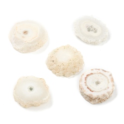 Druzy Agate Rough Raw Natural Druzy Agate Beads, Solar Quartz, No Hole/Undrilled, Flat Round, 20~23x4.5~7mm