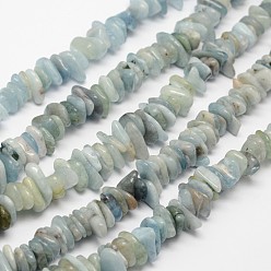 Aquamarine Chips Natural Aquamarine Beads Strands, 7~13x2~5mm, Hole: 1mm, about 14.9 inch