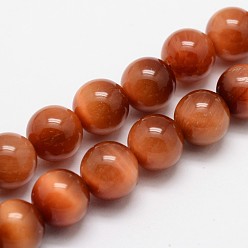 (123L) Белый крем непрозрачный блеск Натуральные нити солнечных бусин «Тигровый глаз», круглые, окрашенная и подогревом, огнеупорный кирпич, 10 мм, отверстие : 1 мм, около 38 шт / нитка, 15.4 дюйм