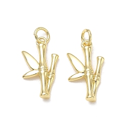 Real 18K Gold Plated Brass Pendants, Bamboo Charms, Cadmium Free & Lead Free, Rack Plating, Long-Lasting Plated, Real 18K Gold Plated, 18.5x10.5x2.5mm, Hole: 3.5mm