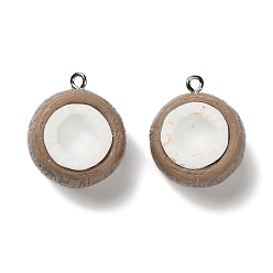 Other Fruits 3d подвески из непрозрачной смолы с фруктовой тематикой, с платиновыми тоновыми железными петлями, фрукты, 25x21x16.5 мм, отверстие : 2 мм