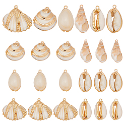 (52) Непрозрачная лаванда 24шт. 6 стили гальванизированные натуральные смешанные подвески из ракушек, подвески в форме ракушек, золотые, разноцветные, 16~30x9~29x5~13 мм, отверстие : 1.4~2 мм, 4 шт / стиль