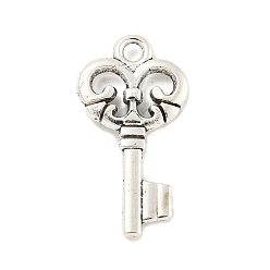 Античное Серебро Сплавочные подвески тибетского стиля, без кадмия и без свинца, ключ, античное серебро, 23x12x2 мм, отверстие : 2 мм, Около 1176 шт / 1000 г