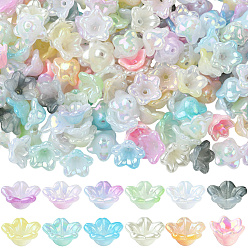 (52) Непрозрачная лаванда 480шт 12 цвета акриловые колпачки для бусин, пятилепестковый цветок, с покрытием AB цвета, разноцветные, 12.8 мм, 40 шт / цвет