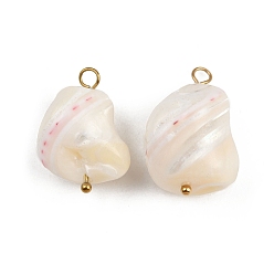 Настоящее золото 18K Подвески из натуральных ракушек, с 304 петлями из нержавеющей стали, цвет морской раковины, ионное покрытие (ip), реальный 18 k позолоченный, 22~29.5x13~19.5x10~19.5 мм, отверстие : 2~3.5 мм