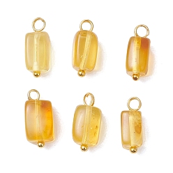 Золотой Прямоугольные подвески из натурального янтаря, с медными петлями, золотые, 13~14x5.5~6.5x4.5~5.5 мм, отверстие : 1.8 мм