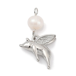 Платина Подвески из натурального пресноводного жемчуга и латуни, свинья прелести, стойки покрытие, без кадмия и без свинца, долговечный, платина, 24x14x6.5 мм, отверстие : 2 мм