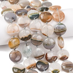 Плоский Круглый Природный агат бисер нитей, окрашенная и подогревом, верблюжие, плоско-круглые, 17.5~18x7~8 мм, отверстие : 1.2 мм, около 21 шт / нитка, 16.93''~17.32'' (43~44 см)