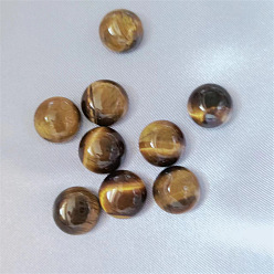 Тигровый глаз Природных тигровый глаз кабошонов, полукруглые / купольные, 10 мм