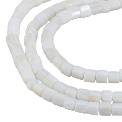 Морская Ракушка 3 нити из натуральных пресноводных бусин из ракушек, колонка, цвет морской раковины, 3.5~3.8x3.5 мм, отверстие : 0.8 мм, около 114 шт / нитка, 15~15.5'' (39~39.5 см)