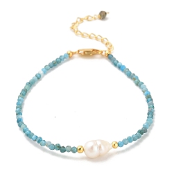 Apatit Armbänder aus natürlichen Apatitperlen, mit Sterling Silberperlen und Perlen, echt 18 k vergoldet, 16.8~17 cm