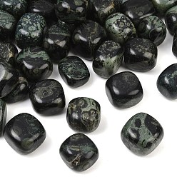 Jaspe Kambaba Perles de jaspe kambaba naturelles, pierre tombée, nuggets, pas de trous / non percés, gemmes de remplissage de vase, 20~35x22~40x14~27mm