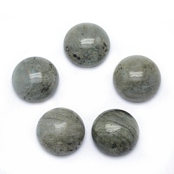 Labradorite Natural Labradorite Cabochons, Grade A, Half Round, 6x3~3.5mm