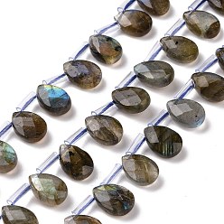Labradorite Natural Labradorite Beads Strands, Top Drilled Beads, Faceted, Teardrop, 12~12.5x8.5~9x4~5mm, about 32pcs/strand, 14.9 inch~16.1 inch(38~41cm)