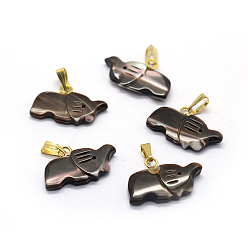 Golden Shell Pendants, with Brass Findings, Elephant, Dyed, Golden, 11~12x19~20x3~5mm, Hole: 2x5mm