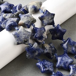 Содалитовое Природный содалит бисер нитей, с бисером, звезда, 20x21x10 мм, отверстие : 1.2 мм, около 19 шт / нитка, 15.59''~16.02'' (39.6~40.7 см)