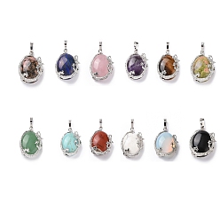 Смешанные камни Кулон из натуральных и синтетических камней, с латунной найти, полукругом с драконом, платина, 28~33x25~28x15~16 мм, отверстие : 5x8 мм