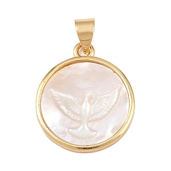 Pigeon Натуральный белый оболочки плоские круглые подвески, с латунной, реальный 18 k позолоченный, долговечный, без кадмия и без свинца, стойки покрытие, голубь, 19.5~20x17x3~3.5 мм, отверстие : 4.5x3.5 мм