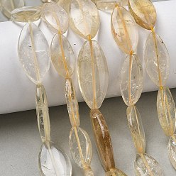 Цитрин Нагретые нити из натуральных цитриновых бусин, лошадиный глаз , 20~30x11~17x5~6 мм, отверстие : 0.9 мм, около 16~19 шт / нитка, 15.75~16.26'' (40~41.3 см)