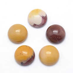 Mookaite Natural Mookaite Cabochons, Half Round, 10x4~5mm