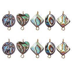 Золотой 10 шт. 5 стиль, подвески из натуральной раковины морского ушка/корпуса пауа, с латунной фурнитурой , разнообразные, золотые, 16 мм, отверстие : 1.6 мм, 2 шт / стиль