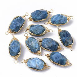 Kyanite Natural Kyanite Links connectors, Wire Wrapped Links, with Golden Tone Brass Wires, Faceted, Oval, 23~24x9x8mm, Hole: 1.4mm