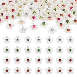 Color mezclado 80piezas de cabujones de plástico, con diamantes de imitación y hierro, flor, dorado, color mezclado, 15x14.5x5.5 mm
