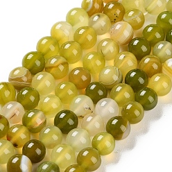 Светло-хаки Натуральные полосатые агатовые / полосатые агатовые бусинки, окрашенные, круглые, светлый хаки, 8 мм, отверстие : 1.2 мм, около 24 шт / нитка, 7.48'' (19 см)
