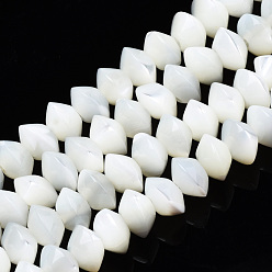 White Natural Trochid Shell/Trochus Shell Bead Strands, Bleach, Rondelle, White, 6x3.5mm, Hole: 1mm, about 106pcs/strand, 15.16 inch(38.5cm)