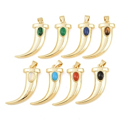 Смешанные камни Природные и синтетические смешанные подвески драгоценных камней, латунные подвески в форме волчьих зубов, реальный 18 k позолоченный, долговечный, стойки покрытие, без свинца и без кадмия, смешанные окрашенные и неокрашенные, 29.5x24x8 мм, отверстие : 4x3.5 мм