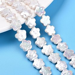 Морская Ракушка Бусы из натурального зернистого жемчуга кеши в стиле барокко, цветок, цвет морской раковины, 10~13x11~13x3~4.5 мм, отверстие : 0.7 мм, около 32~33 шт / нитка, 14.96~15.35'' (38~39 см)