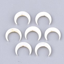 Creamy White Freshwater Shell Beads, Double Horn/Crescent Moon, Creamy White, 10~11x12~12.5x2.5~3mm, Hole: 1mm