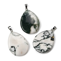 Древесный агат Подвески из натурального дерева, агата, Подвески в форме капли с 304 защелкивающимися креплениями из нержавеющей стали, цвет нержавеющей стали, 43.5~45x29.5~30.5x6~7.5 мм, отверстие : 7.5x4.5 мм