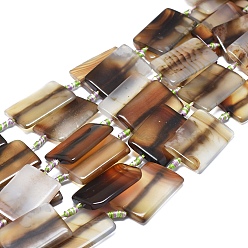 Коричневый Натуральный полосатый агат / полосатые агатовые бусы, окрашенная и подогревом, прямоугольные, кофе, 35~37x24~26x5~7 мм, отверстие : 1.8 мм, около 9 шт / нитка, 15.94 дюйм (40.5 см)