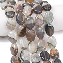 Верблюжий Природный агат бисер нитей, окрашенная и подогревом, Плоско-овальные, верблюжие, 20x14.5~15.5x7~8.5 мм, отверстие : 1.2 мм, около 20 шт / нитка, 15.47''~15.67'' (39.3~39.8 см)
