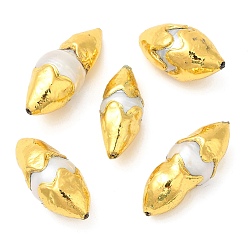 Muschelfarbe Natürliche Keshi-Perlen im Barockstil, langlebig überzogen, mit vergoldenden Messing Zubehör, ellipsenförmige, Muschelfarbe, 26.5~34x13~14 mm, Bohrung: 1 mm