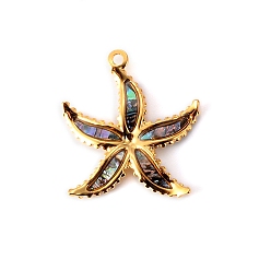 Морская звезда Подвески из ракушек пауа из нержавеющей стали, золотые, морская звезда, 27x24 мм