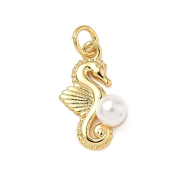 Sea Dog Латунные подвески, с абс пластмассовой имитационной жемчужиной, без кадмия и без свинца, долговечный, стойки покрытие, реальный 18 k позолоченный, с целью перехода в кольце, морской волк, 17.5x11x6 мм, отверстие : 3 мм
