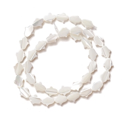 Seashell Color Natural Trochid Shell/Trochus Shell Beads, Hand, Seashell Color, 8x10x2~2.5mm, Hole: 0.8mm, about 39pcs/strand, 15.35 inch(39cm)