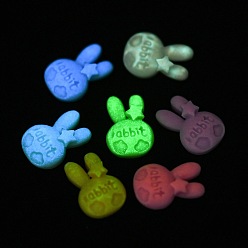 Mixed Color Luminous Resin Cabochons, Rabbit, Mixed Color, 16x11x4.6mm