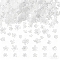 Белый 600 шт. 12 стильные акриловые колпачки для бусин, цветок, белые, 8~20x9~21.5x3~10.5 мм, отверстие : 1.2~2 мм, 50 шт / стиль