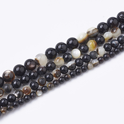 Black Lip Shell Black Lip Shell Bead Strands, Round, 6mm, Hole: 1mm, about 67pcs/strand, 15.55 inch