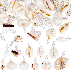 Морская Ракушка 44шт 11 подвески из натуральной ракушки, с латунной фурнитурой , золотые, цвет морской раковины, 19.6~40.5 мм, отверстие : 2.8 мм